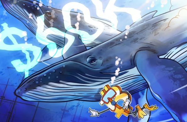 比特币鲸鱼支持包括新比特币价格警告中的 6 万美元区间